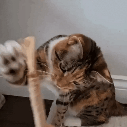 Gümüş Asma Çubukları